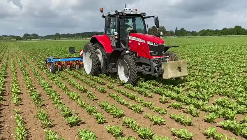 Traktor mit Grubber bei der Bodenbearbeitung
