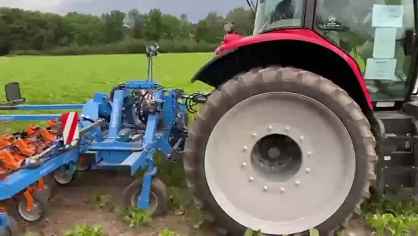 Hackgerät bei der mechanischen Unkrautbekämpfung in Reihenkulturen